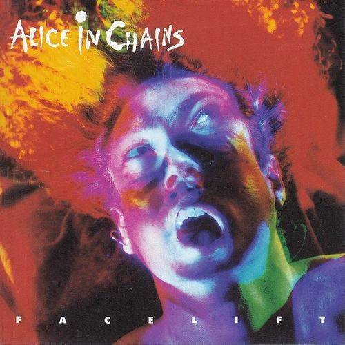 Album art for Alice In Chains - Facelift
