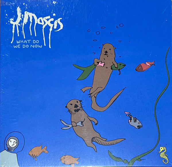 Album art for J Mascis - What Do We Do Now
