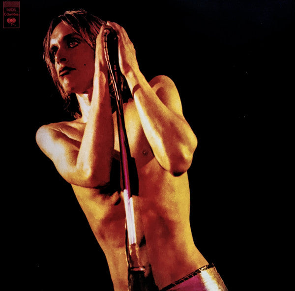 Album art for The Stooges - Raw Power