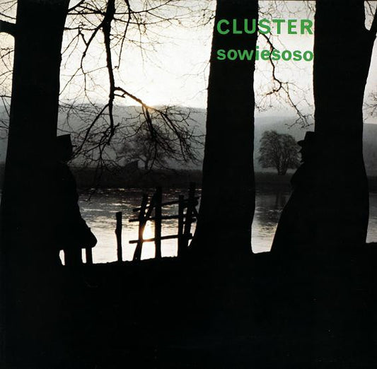 Album art for Cluster - Sowiesoso