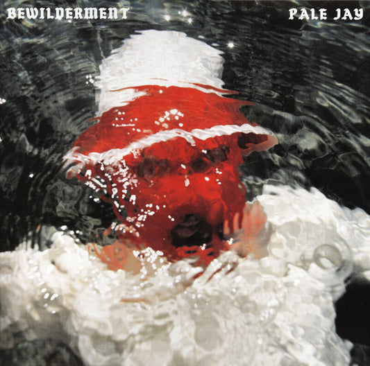 Album art for Pale Jay - Bewilderment