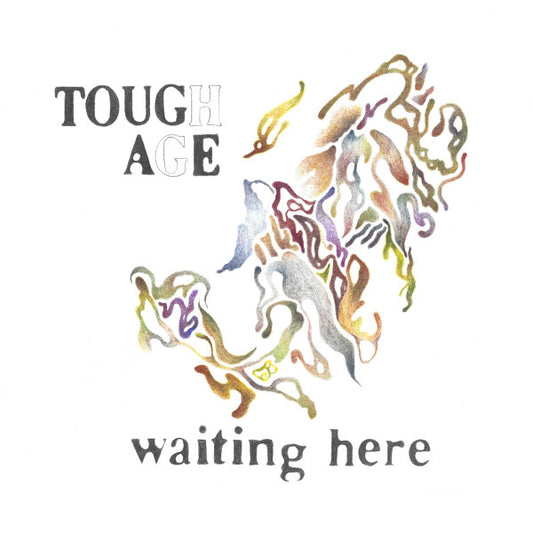 Album art for Tough Age - waiting here