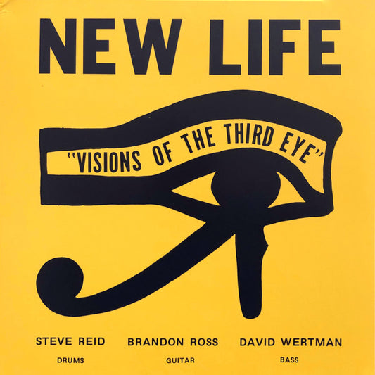 Album art for New Life Trio - Visions Of The Third Eye