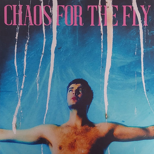 Album art for Grian Chatten - Chaos For The Fly