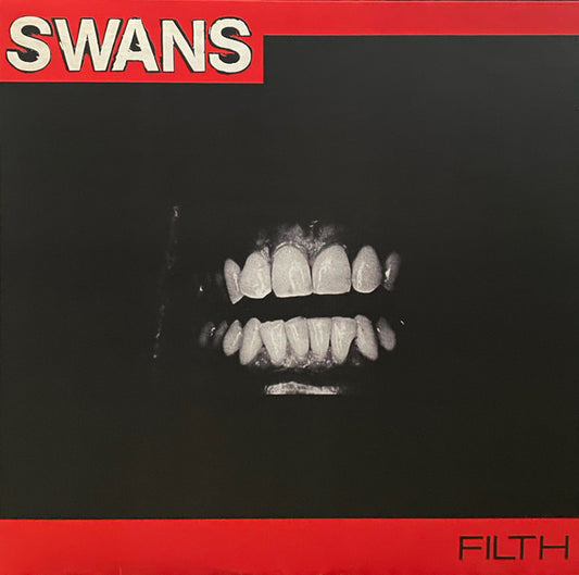 Album art for Swans - Filth