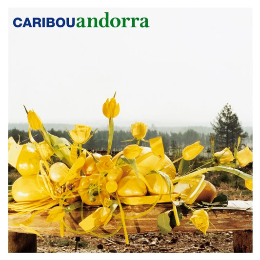 Album art for Caribou - Andorra