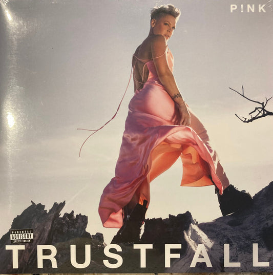 Album art for P!NK - Trustfall