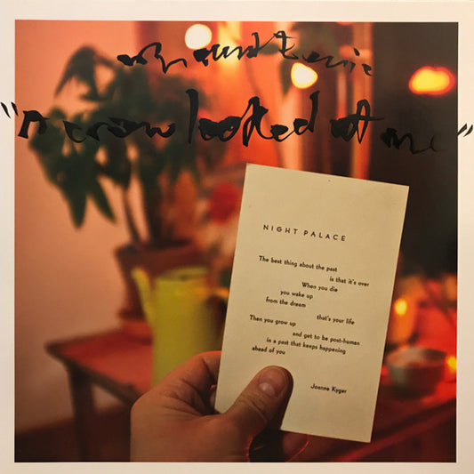 Album art for Mount Eerie - A Crow Looked At Me