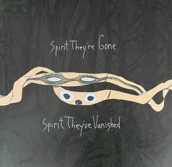 Album art for Animal Collective - Spirit They're Gone Spirit They've Vanished