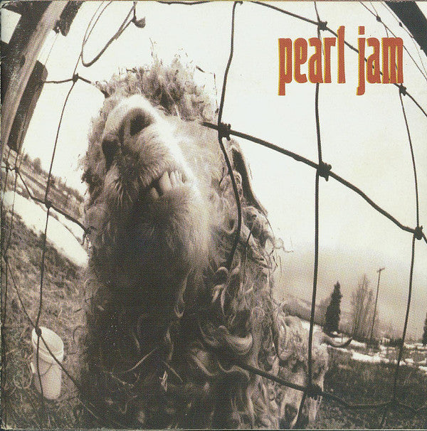 Album art for Pearl Jam - Vs