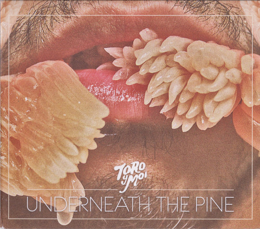 Album art for Toro Y Moi - Underneath The Pine