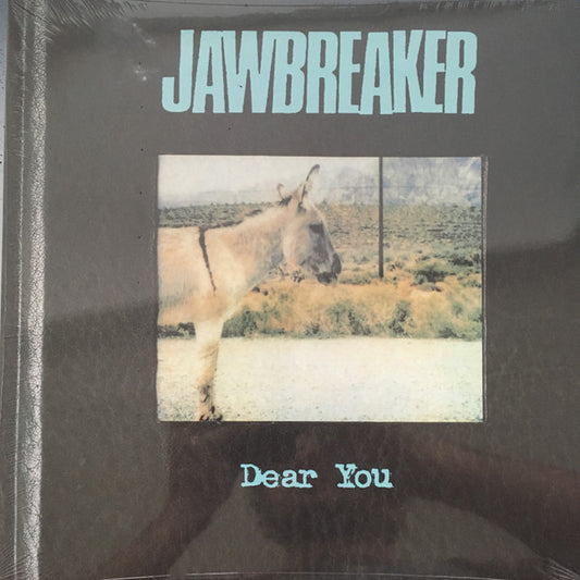 Album art for Jawbreaker - Dear You