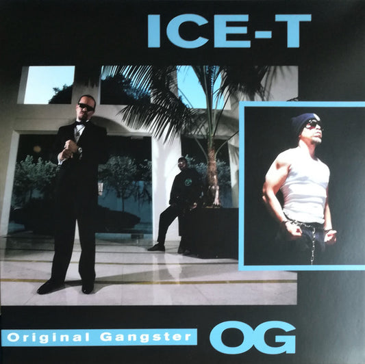 Album art for Ice-T - O.G. Original Gangster
