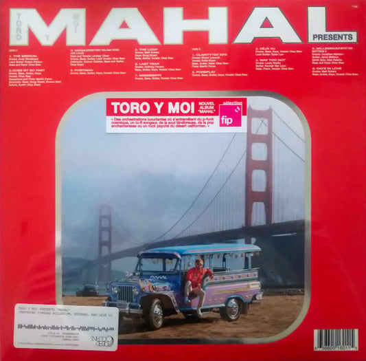 Album art for Toro Y Moi - Mahal