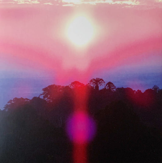 Album art for Grouper - Paradise Valley