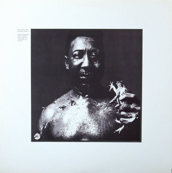 Album art for Muddy Waters - After The Rain