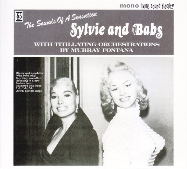 Album art for Nurse With Wound - The Sylvie And Babs Hi-Fi Companion