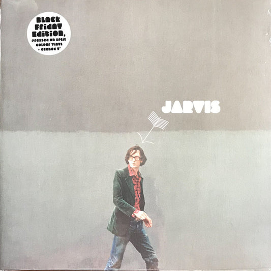 Album art for Jarvis Cocker - The Jarvis Cocker Record