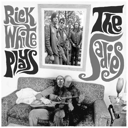 Album art for Rick White - Plays The Sadies