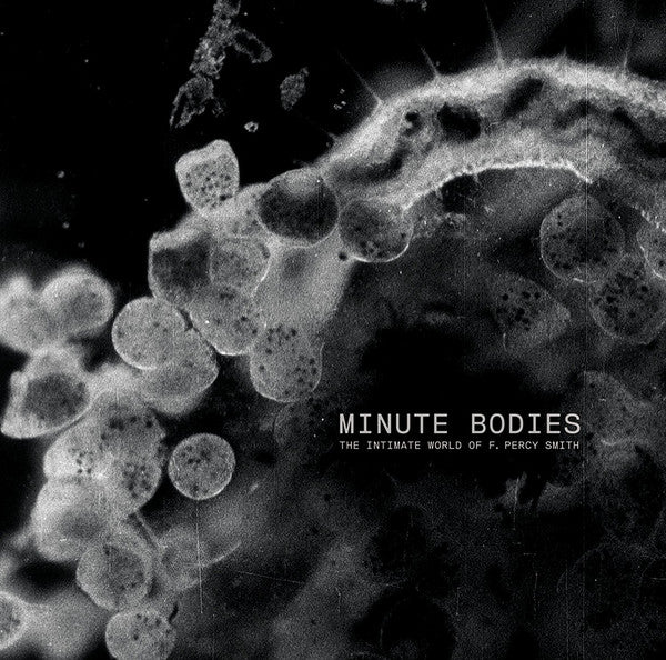 Album art for Tindersticks - Minute Bodies - The Intimate World Of F. Percy Smith