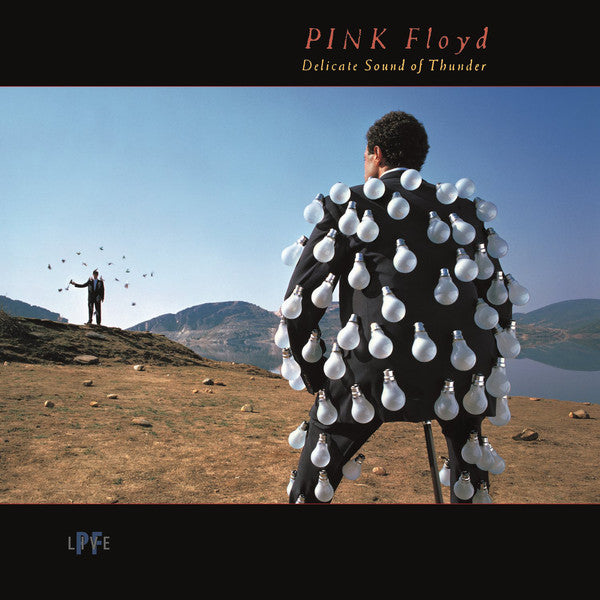 Album art for Pink Floyd - Delicate Sound Of Thunder