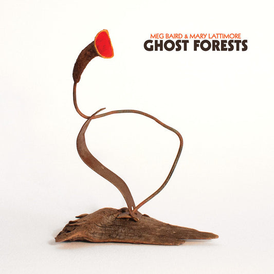 Album art for Meg Baird - Ghost Forests