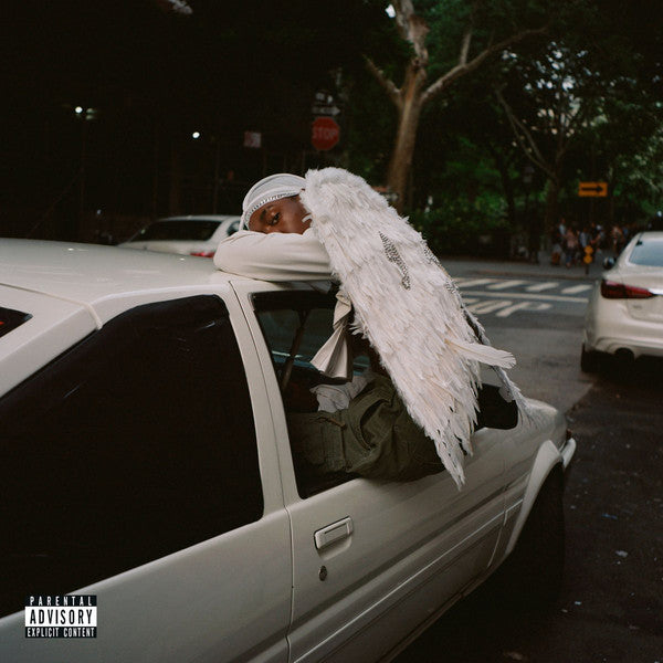 Album art for Blood Orange - Negro Swan