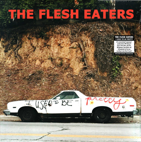 Album art for The Flesh Eaters - I Used To Be Pretty