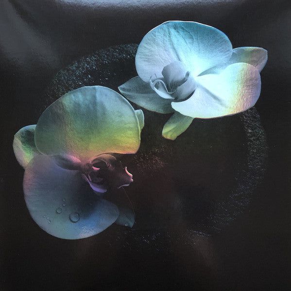Album art for Mike Patton - Corpse Flower