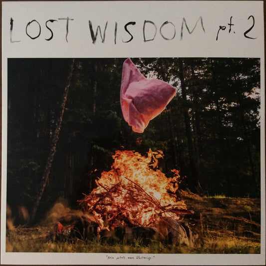 Album art for Mount Eerie - Lost Wisdom Pt. 2