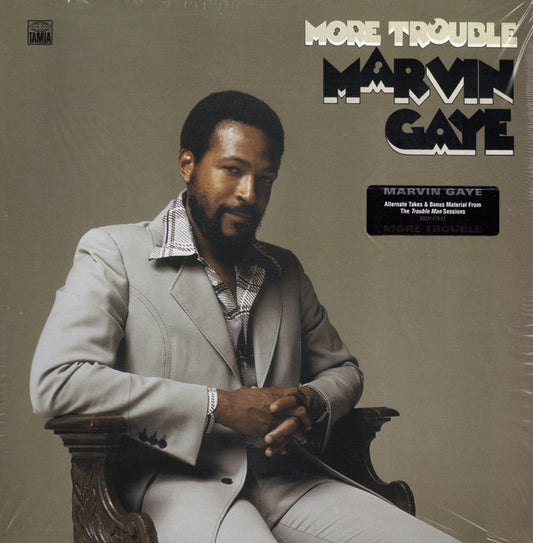 Album art for Marvin Gaye - More Trouble