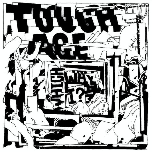 Album art for Tough Age - Which Way Am I?