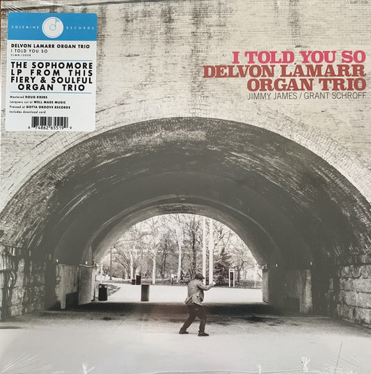 Album art for Delvon Lamarr Organ Trio - I Told You So