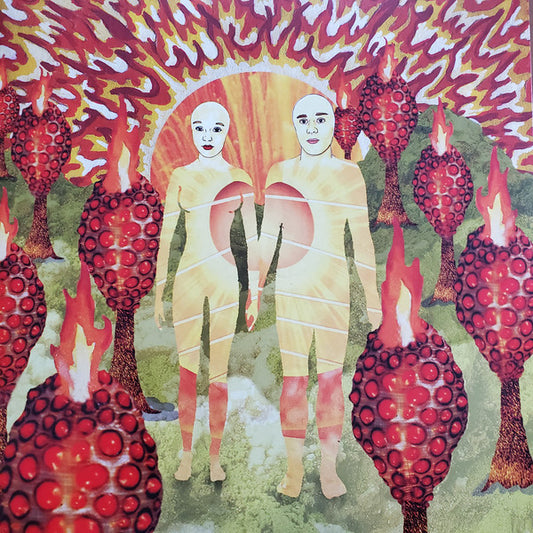 Album art for Of Montreal - The Sunlandic Twins