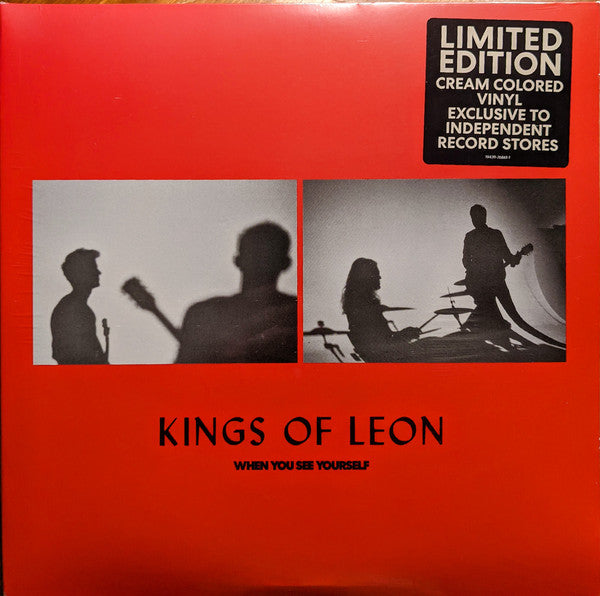 Album art for Kings Of Leon - When You See Yourself