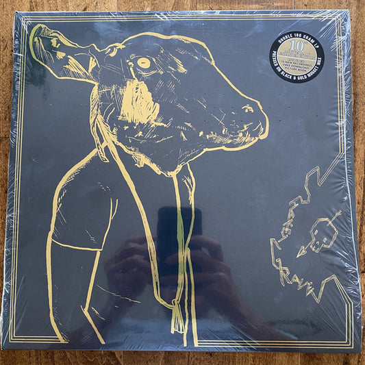 Album art for Shakey Graves - Roll The Bones X (10th Anniversary Edition)