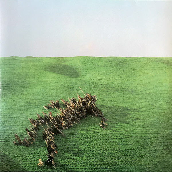 Album art for Squid - Bright Green Field