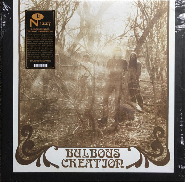 Album art for Bulbous Creation - You Won't Remember Dying