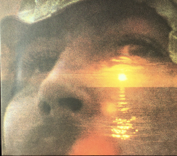 Album art for David Crosby - If I Could Only Remember My Name