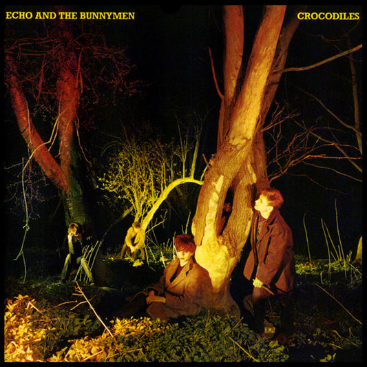 Album art for Echo & The Bunnymen - Crocodiles