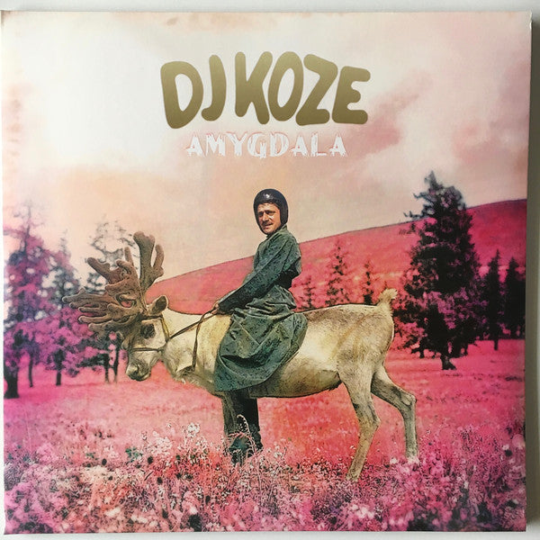 Album art for DJ Koze - Amygdala