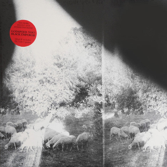 Album art for Godspeed You Black Emperor! - Asunder, Sweet And Other Distress