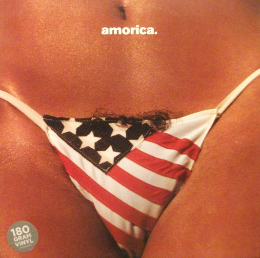 Album art for The Black Crowes - Amorica
