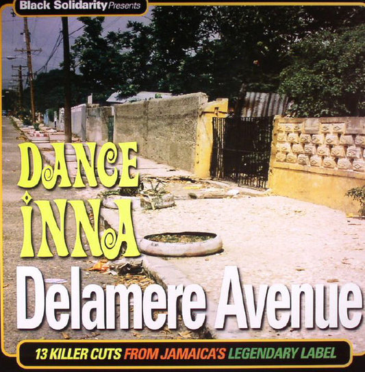 Album art for Various - Black Solidarity Presents Dance Inna Delamere Avenue