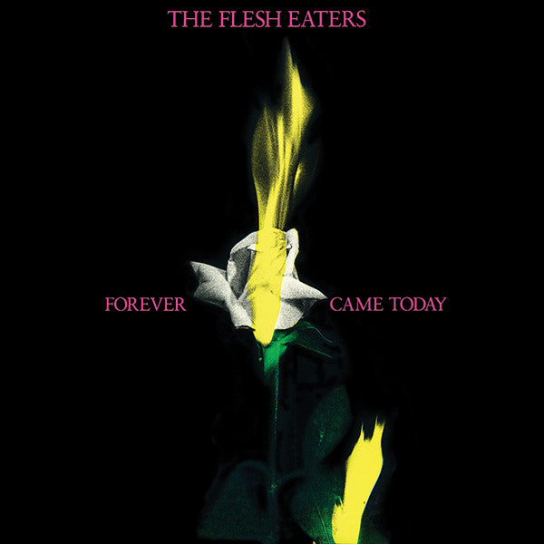 Album art for The Flesh Eaters - Forever Came Today
