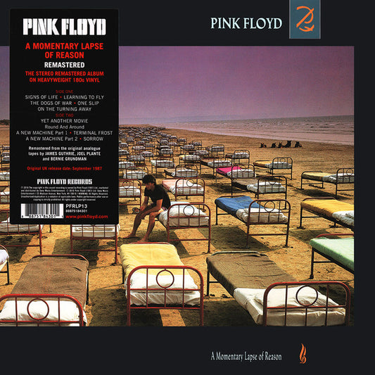 Album art for Pink Floyd - A Momentary Lapse Of Reason