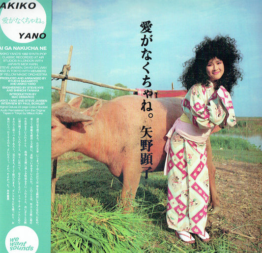 Album art for Akiko Yano - Ai Ga Nakucha Ne