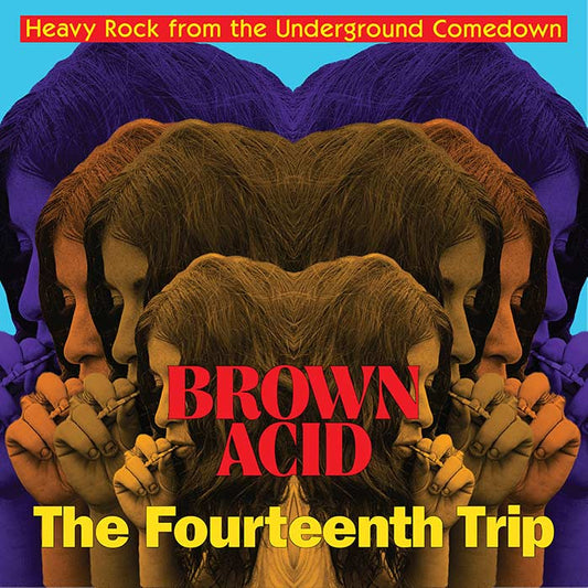 V/A - Brown Acid The Fourteenth Trip